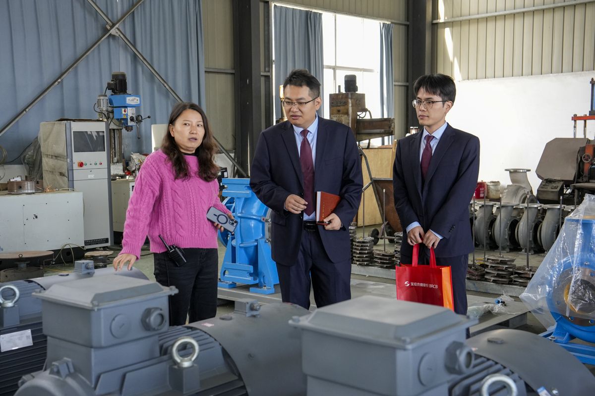 _DSC5295 拷贝 _DSC5295 拷贝