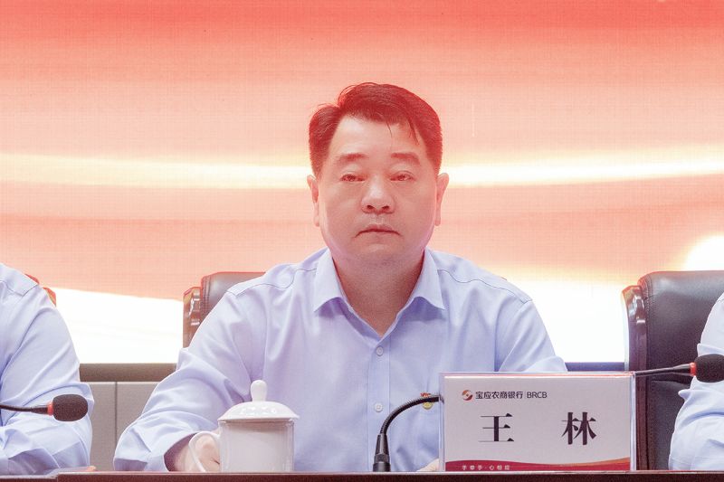 王林 拷贝